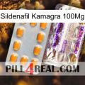 Sildenafil Kamagra 100Mg new12